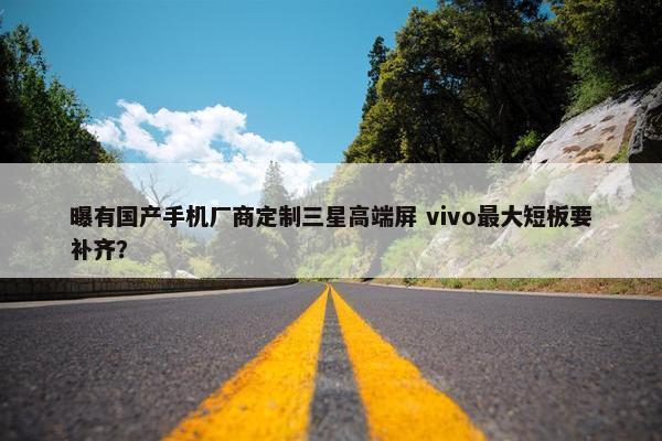 曝有国产手机厂商定制三星高端屏 vivo最大短板要补齐？