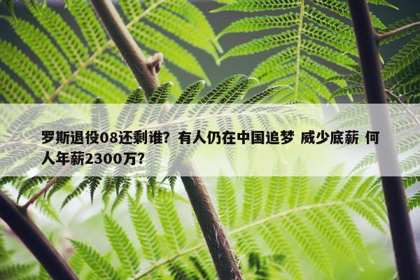 罗斯退役08还剩谁？有人仍在中国追梦 威少底薪 何人年薪2300万？