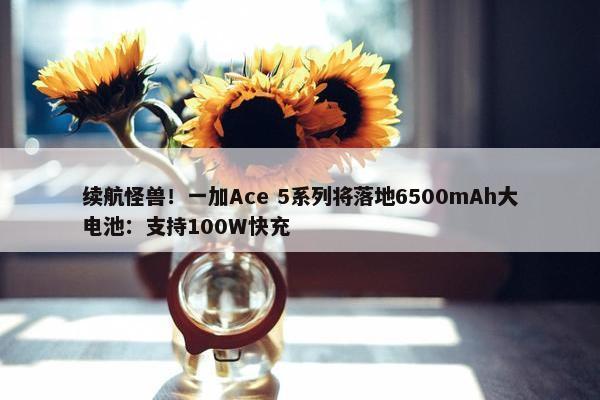 续航怪兽！一加Ace 5系列将落地6500mAh大电池：支持100W快充