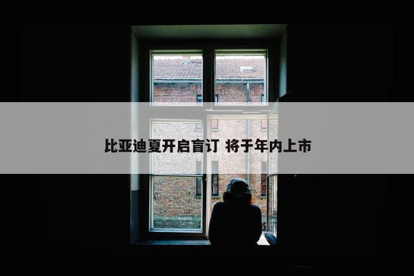 比亚迪夏开启盲订 将于年内上市