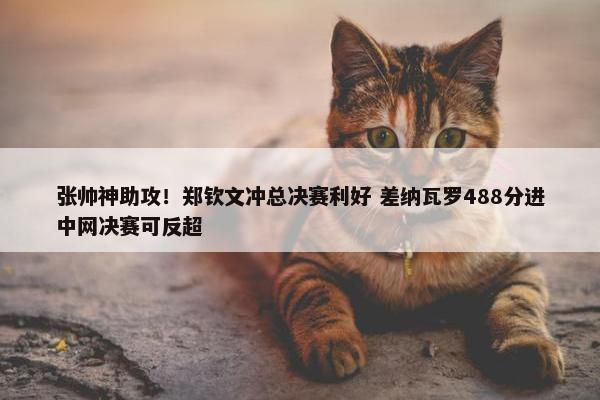 张帅神助攻！郑钦文冲总决赛利好 差纳瓦罗488分进中网决赛可反超