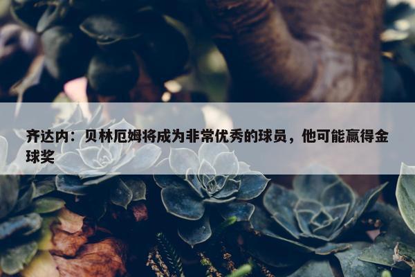 齐达内：贝林厄姆将成为非常优秀的球员，他可能赢得金球奖