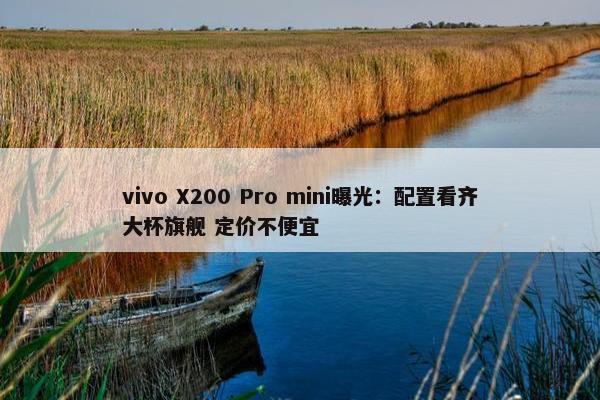 vivo X200 Pro mini曝光：配置看齐大杯旗舰 定价不便宜