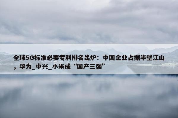 全球5G标准必要专利排名出炉：中国企业占据半壁江山，华为_中兴_小米成“国产三强”