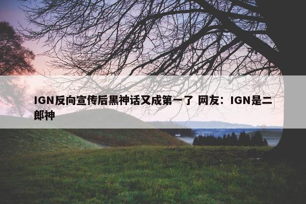 IGN反向宣传后黑神话又成第一了 网友：IGN是二郎神