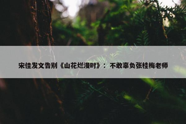 宋佳发文告别《山花烂漫时》：不敢辜负张桂梅老师