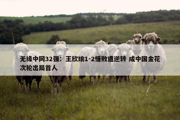 无缘中网32强：王欣瑜1-2惜败遭逆转 成中国金花次轮出局首人