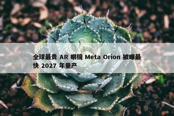 全球最贵 AR 眼镜 Meta Orion 被曝最快 2027 年量产