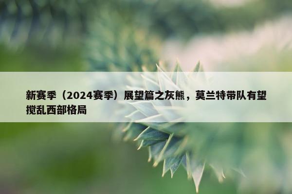 新赛季（2024赛季）展望篇之灰熊，莫兰特带队有望搅乱西部格局