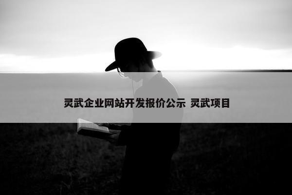 灵武企业网站开发报价公示 灵武项目