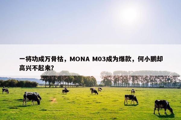 一将功成万骨枯，MONA M03成为爆款，何小鹏却高兴不起来？