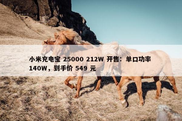 小米充电宝 25000 212W 开售：单口功率 140W，到手价 549 元