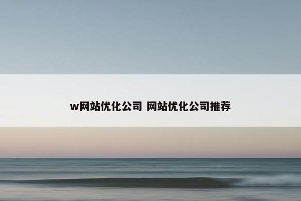 w网站优化公司 网站优化公司推荐