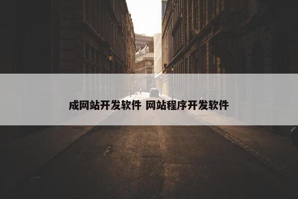 成网站开发软件 网站程序开发软件