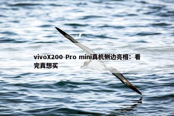 vivoX200 Pro mini真机侧边亮相：看完真想买