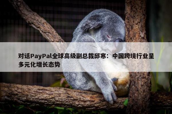 对话PayPal全球高级副总裁邱寒：中国跨境行业呈多元化增长态势