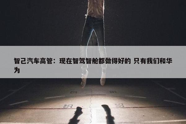 智己汽车高管：现在智驾智舱都做得好的 只有我们和华为