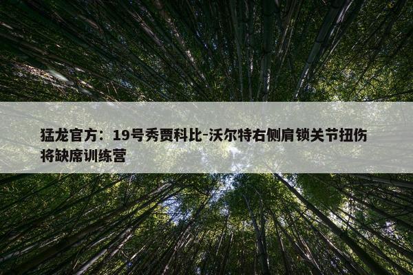 猛龙官方：19号秀贾科比-沃尔特右侧肩锁关节扭伤 将缺席训练营