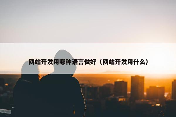 网站开发用哪种语言做好（网站开发用什么）