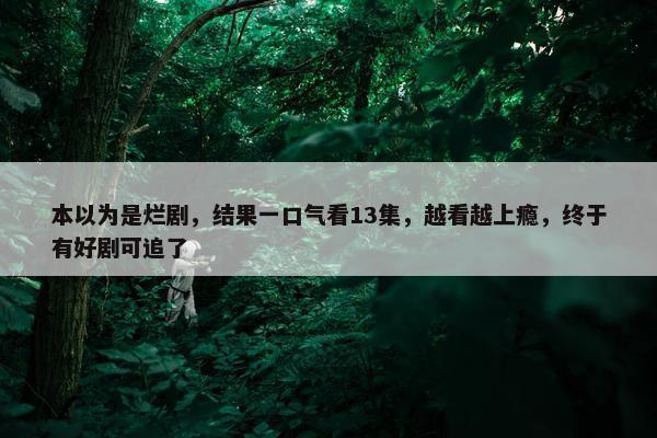 本以为是烂剧，结果一口气看13集，越看越上瘾，终于有好剧可追了