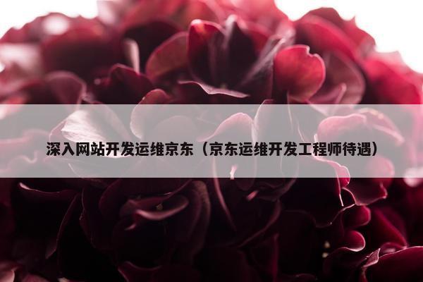 深入网站开发运维京东（京东运维开发工程师待遇）