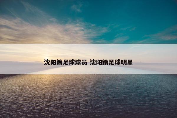 沈阳籍足球球员 沈阳籍足球明星