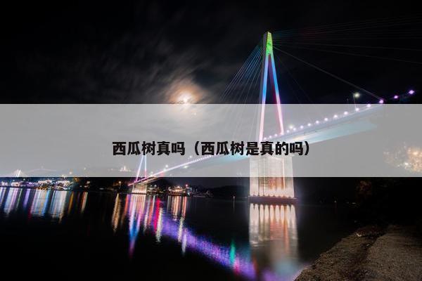 西瓜树真吗（西瓜树是真的吗）