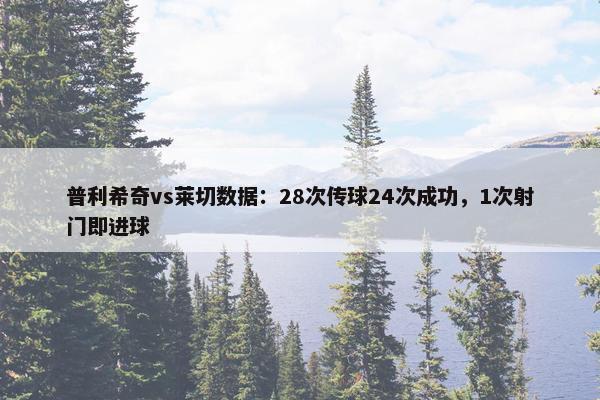 普利希奇vs莱切数据：28次传球24次成功，1次射门即进球