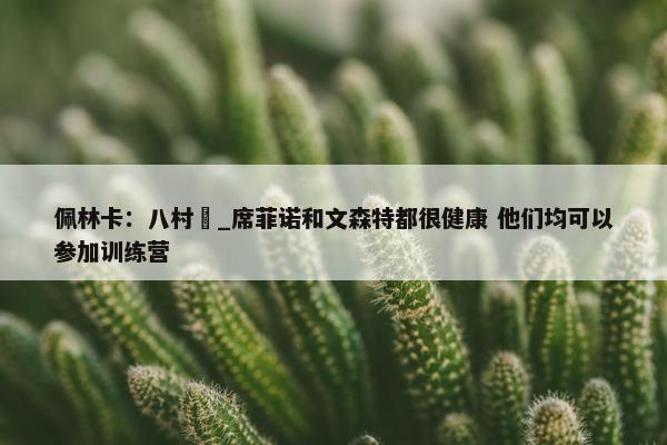 佩林卡：八村塁_席菲诺和文森特都很健康 他们均可以参加训练营