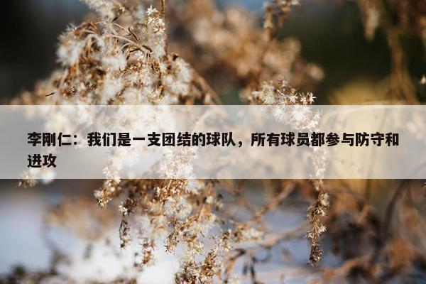 李刚仁：我们是一支团结的球队，所有球员都参与防守和进攻