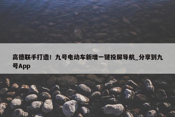 高德联手打造！九号电动车新增一键投屏导航_分享到九号App