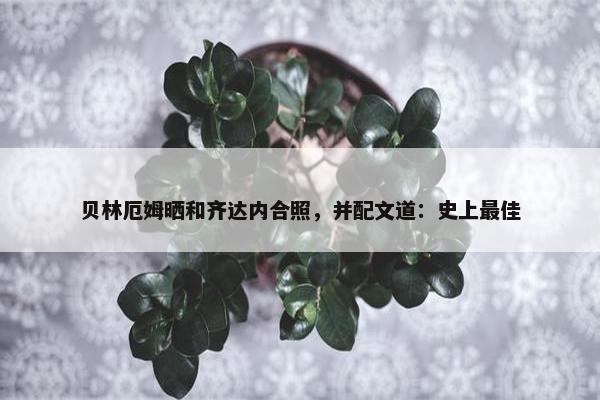 贝林厄姆晒和齐达内合照，并配文道：史上最佳