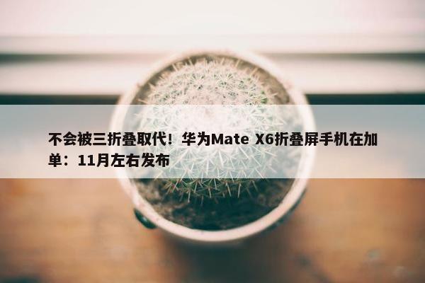 不会被三折叠取代！华为Mate X6折叠屏手机在加单：11月左右发布