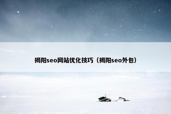 揭阳seo网站优化技巧（揭阳seo外包）