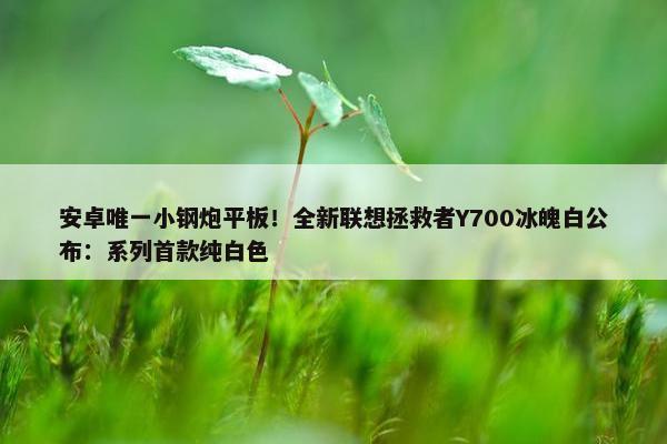 安卓唯一小钢炮平板！全新联想拯救者Y700冰魄白公布：系列首款纯白色