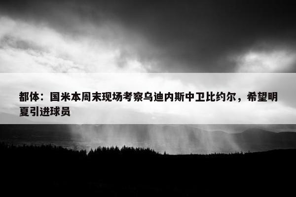 都体：国米本周末现场考察乌迪内斯中卫比约尔，希望明夏引进球员