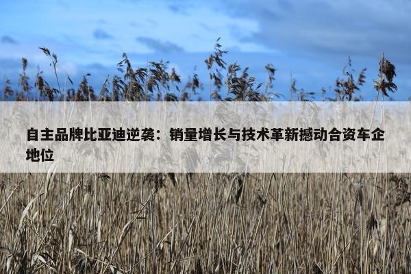 自主品牌比亚迪逆袭：销量增长与技术革新撼动合资车企地位