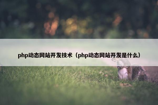 php动态网站开发技术（php动态网站开发是什么）