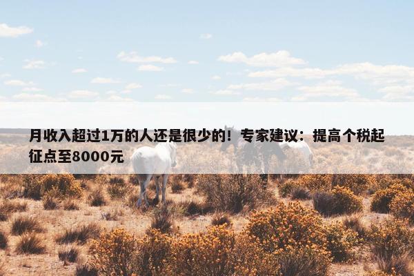 月收入超过1万的人还是很少的！专家建议：提高个税起征点至8000元