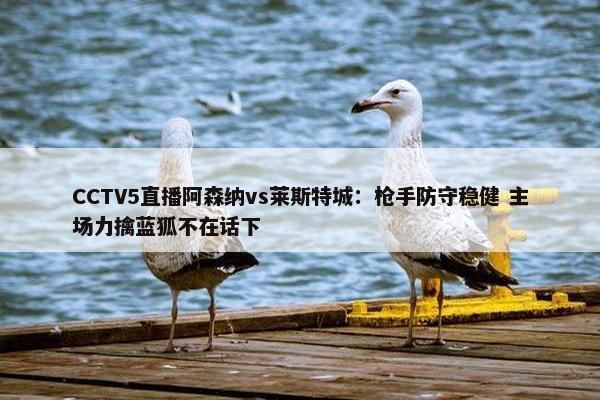 CCTV5直播阿森纳vs莱斯特城：枪手防守稳健 主场力擒蓝狐不在话下