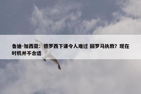 鲁迪-加西亚：德罗西下课令人难过 回罗马执教？现在时机并不合适