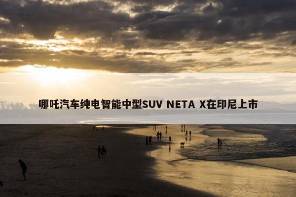 哪吒汽车纯电智能中型SUV NETA X在印尼上市