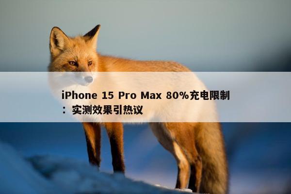 iPhone 15 Pro Max 80%充电限制：实测效果引热议