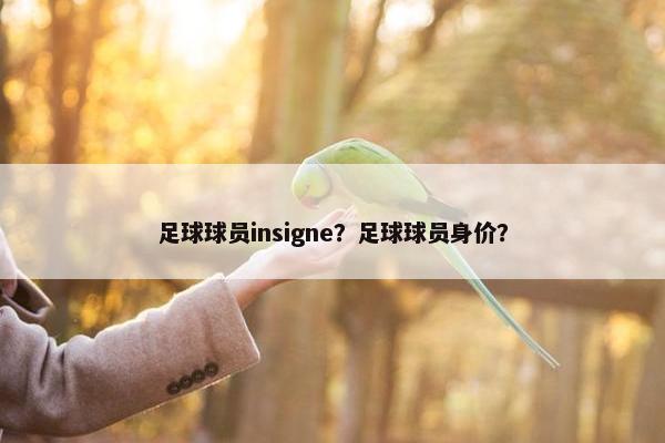 足球球员insigne？足球球员身价？