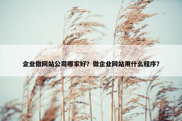 企业做网站公司哪家好？做企业网站用什么程序？