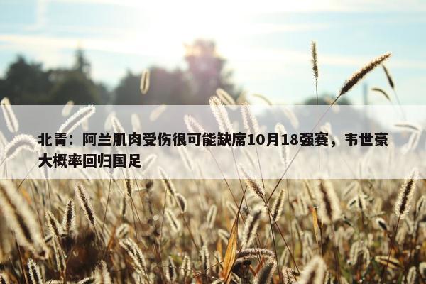 北青：阿兰肌肉受伤很可能缺席10月18强赛，韦世豪大概率回归国足