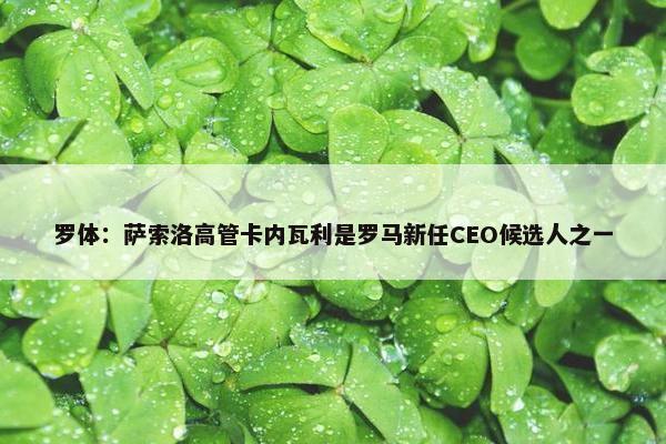 罗体：萨索洛高管卡内瓦利是罗马新任CEO候选人之一