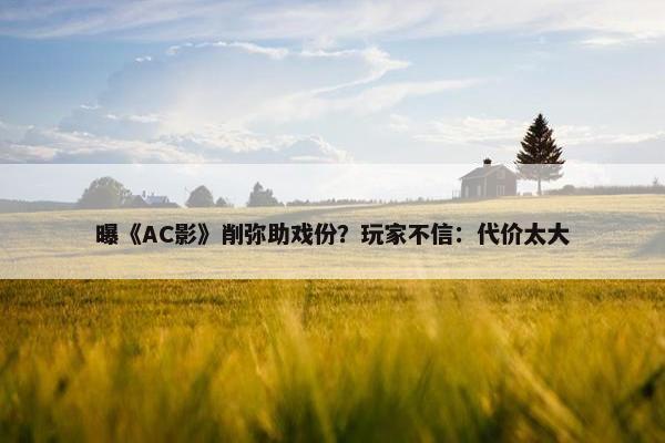 曝《AC影》削弥助戏份？玩家不信：代价太大