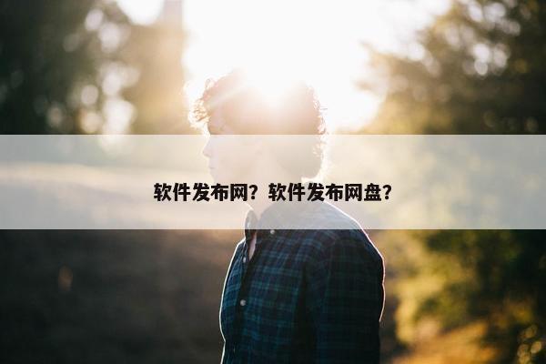 软件发布网？软件发布网盘？