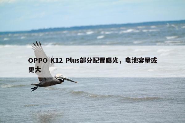 OPPO K12 Plus部分配置曝光，电池容量或更大